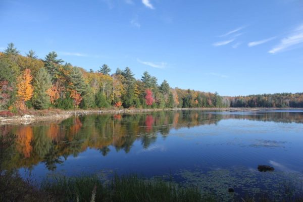 Knight's Pond Preserve