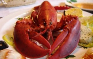 Augusta lobster ready to be made into a lobster roll