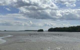 Freeport Clam Flats