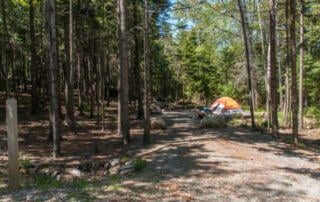 Blackwoods Campground at Acadia National Park